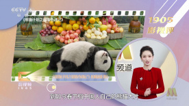 女虐女重囗vk
