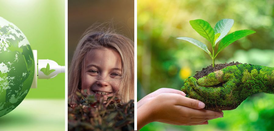 8 Razones para Cuidar el Medio Ambiente | Naturaleza es Vida